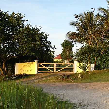 圣伊格纳西奥 Casa Del Caballo Blanco酒店 外观 照片