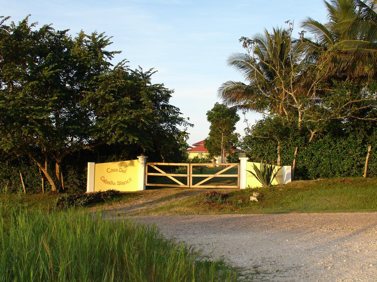 圣伊格纳西奥 Casa Del Caballo Blanco酒店 外观 照片