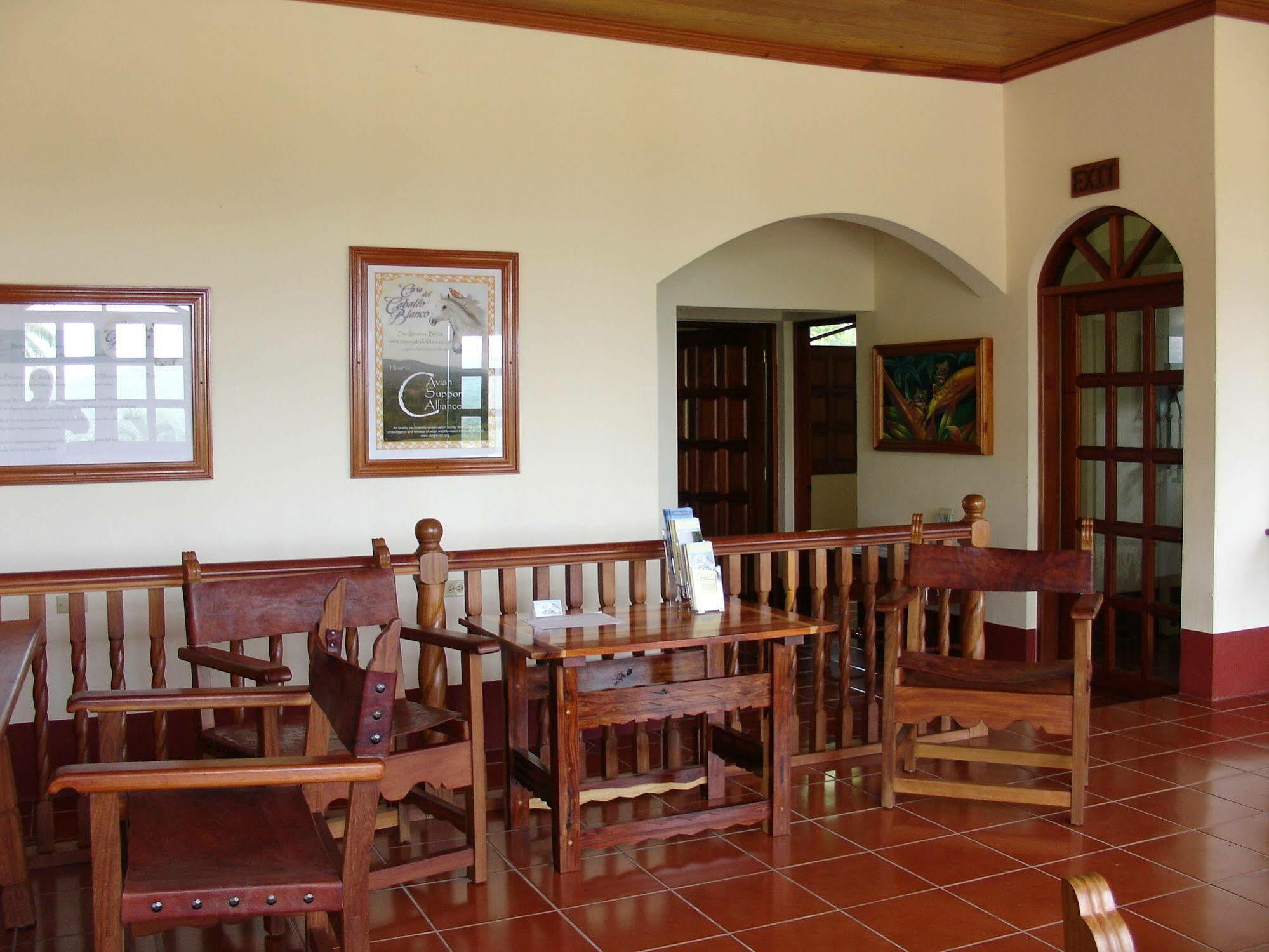 Casa Del Caballo Blanco 圣伊格纳西奥 外观 照片