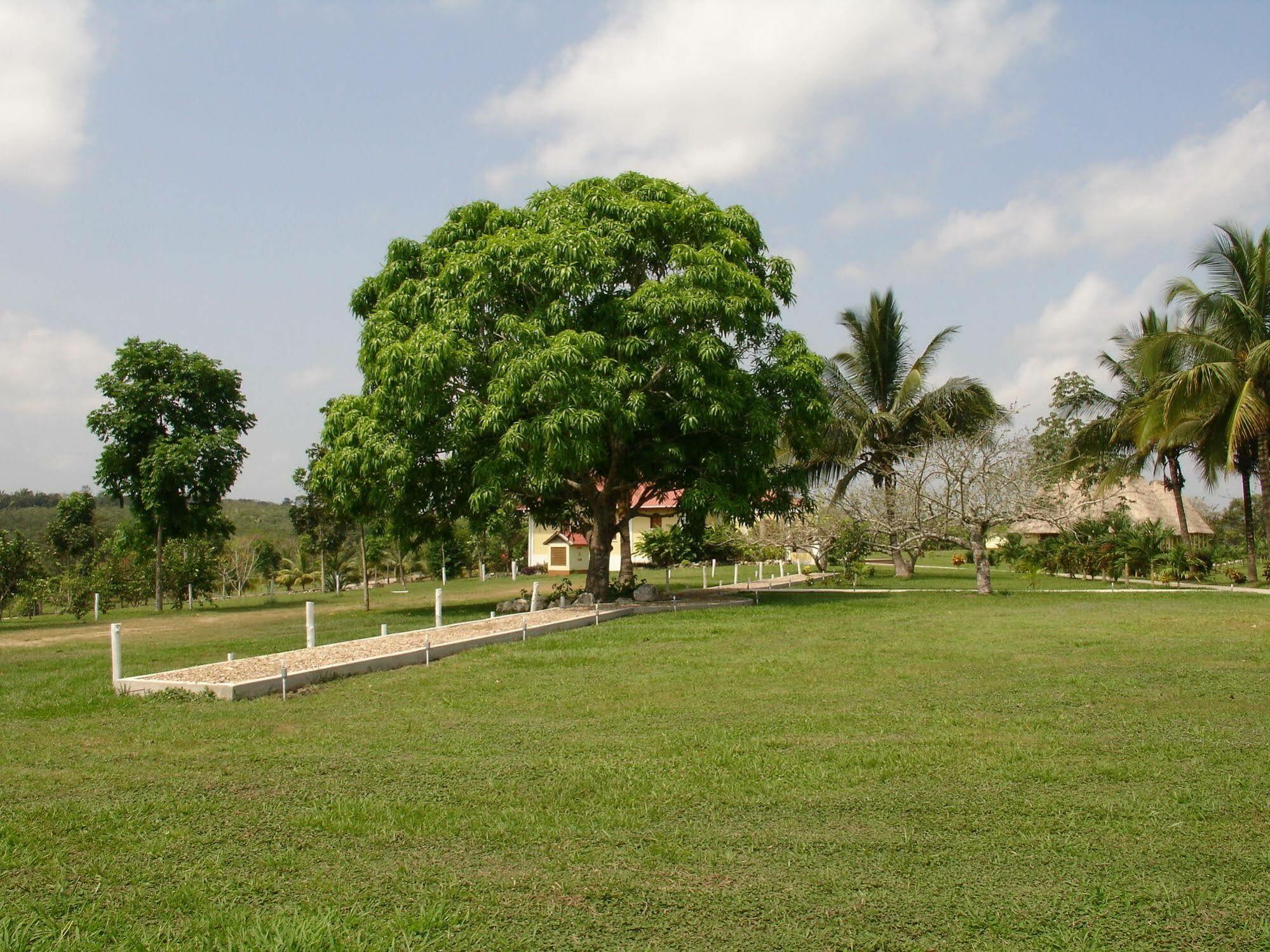 Casa Del Caballo Blanco 圣伊格纳西奥 外观 照片