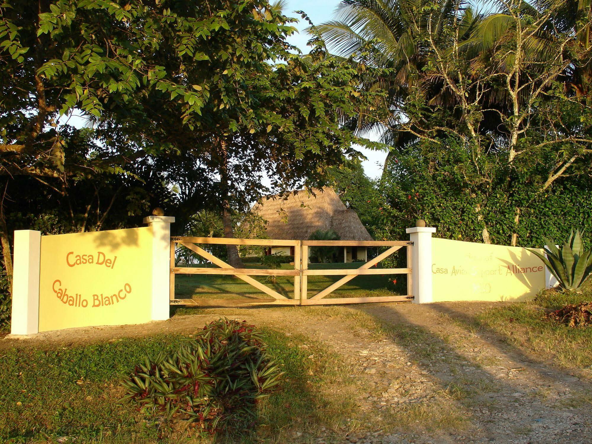 Casa Del Caballo Blanco 圣伊格纳西奥 外观 照片