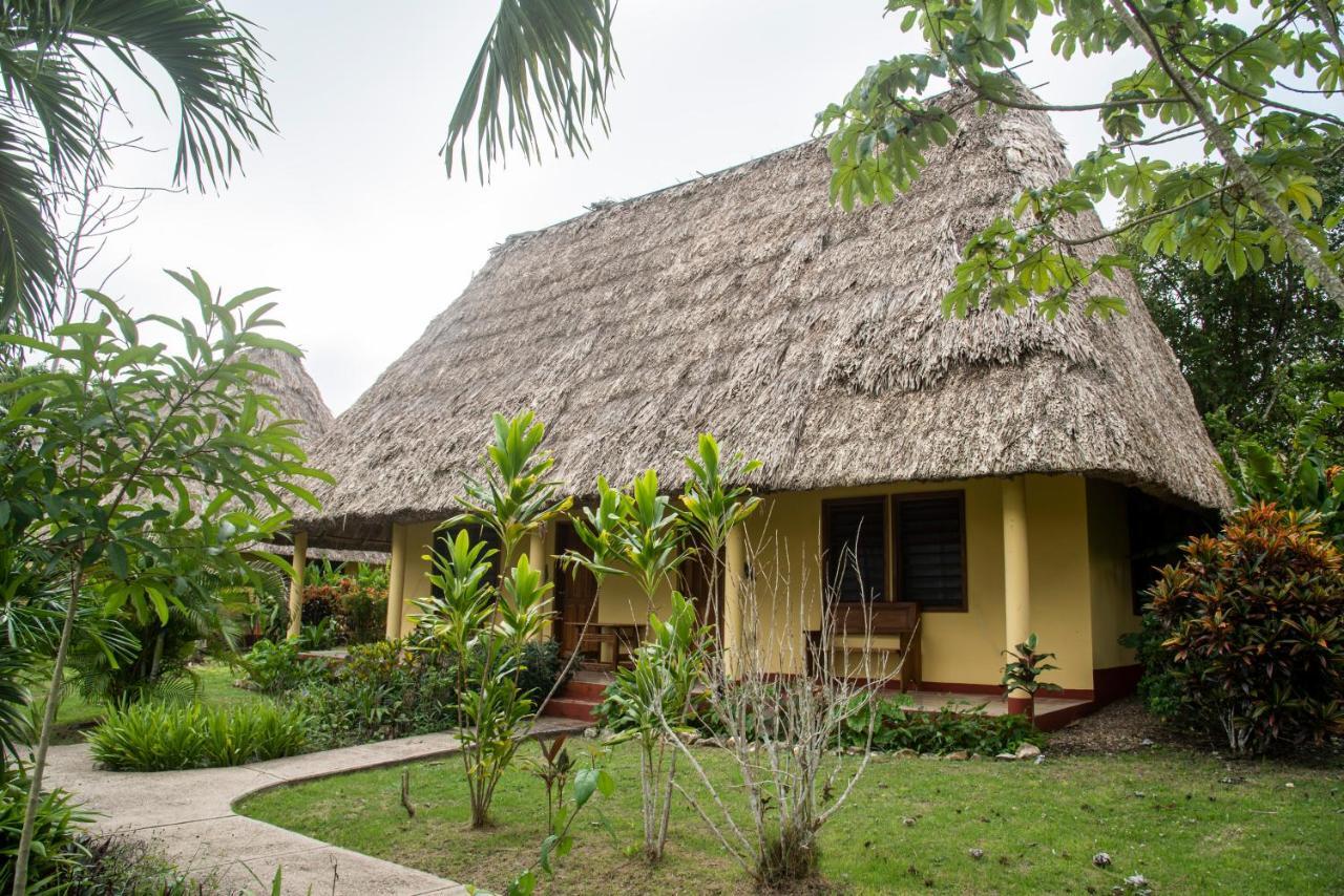 Casa Del Caballo Blanco 圣伊格纳西奥 外观 照片